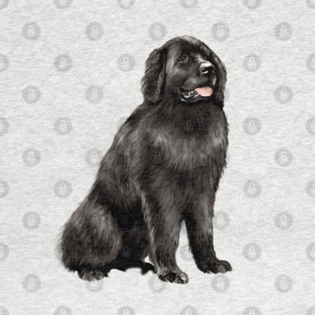 NewNewfoundland Dog (black) - Just the Dog by Dogs Galore and More